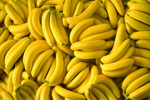 Banana plantation
