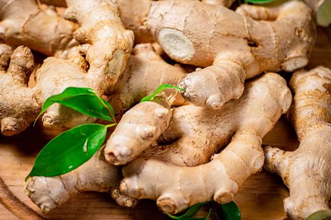 Ginger cultivation